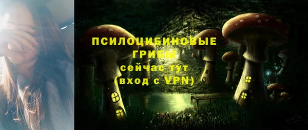синтетический гашиш Медногорск