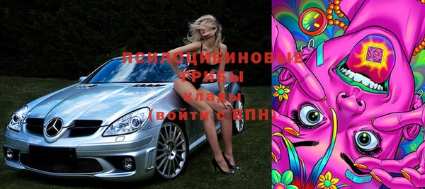 бошки Мегион