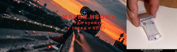 прущие крисы Медвежьегорск