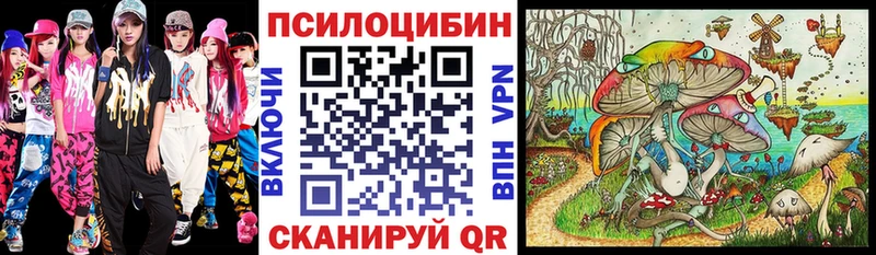 Галлюциногенные грибы Psilocybe  Юхнов 